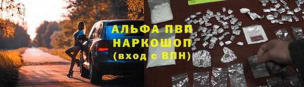 дживик Балахна